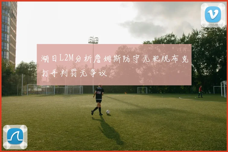 湖日L2M分析詹姆斯防守无犯规布克打手判罚无争议