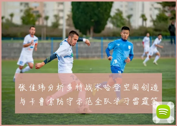 张佳玮分析多特战术哈登空间创造与卡鲁索防守示范全队学习雷霆策略