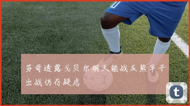 芬奇透露戈贝尔明天能战灰熊华子出战仍存疑虑